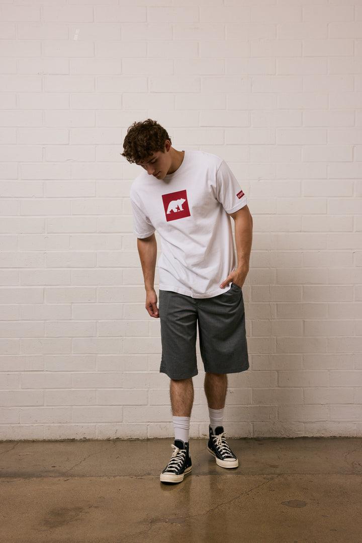 Square Bear Tee - White